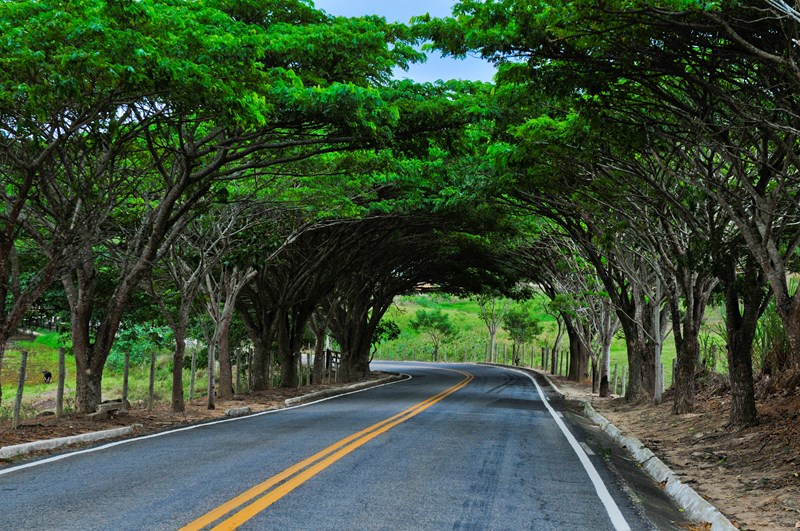 Portal das Árvores na entrada de Mucurici